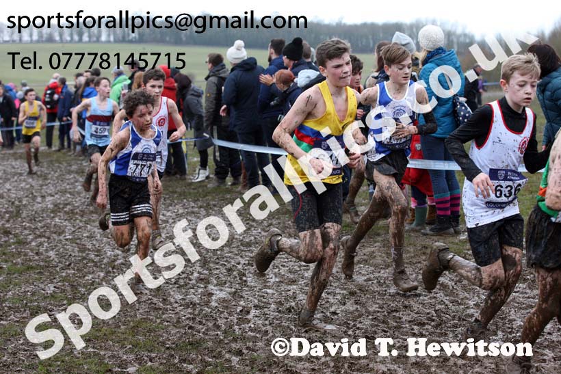 Boys under-13s 2018 British Inter Counties Cross Country Champs., Prestwold Hall, Loughborough. Photo: David T. Hewitson/Sports for All Pics
